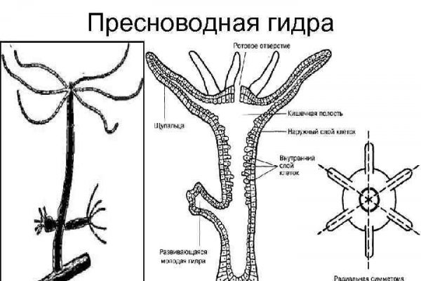 Рабочее зеркало кракен store