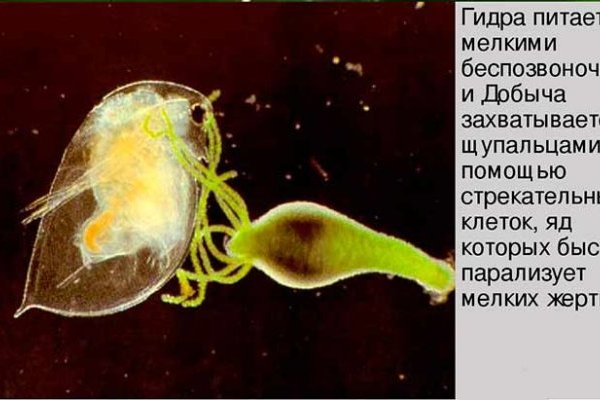 Кракен через впн